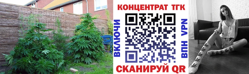 купить  цена  Клинцы  Дистиллят ТГК вейп с тгк 