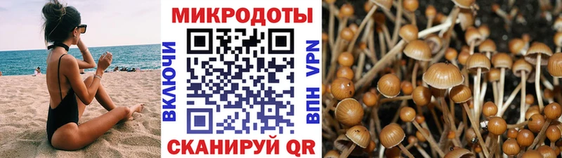 МЕГА рабочий сайт  Клинцы  Галлюциногенные грибы мицелий 